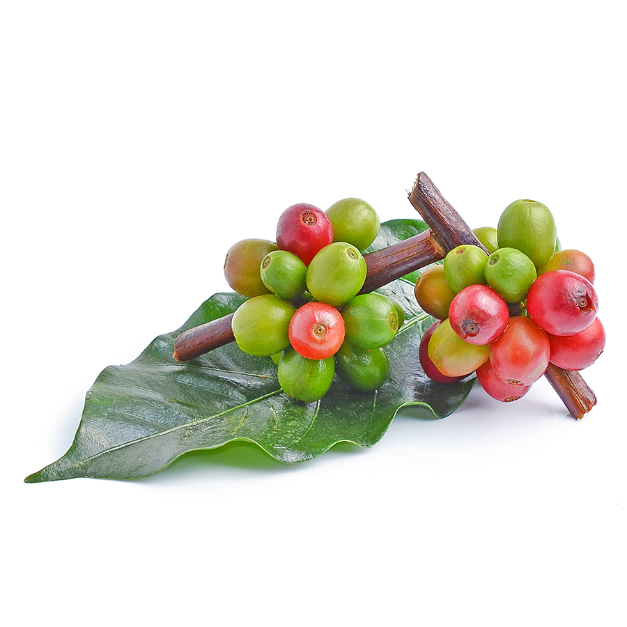 Koffie en cacao